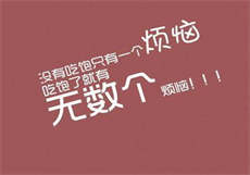 两个p站分别是什么
