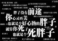 大家说的p站是哪个网站
